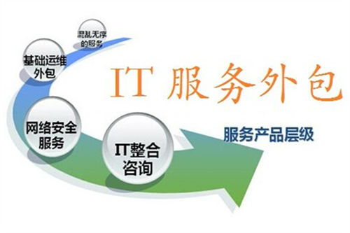 軟件外包服務市場 邁向專業(yè)化與高價值的技術服務新紀元